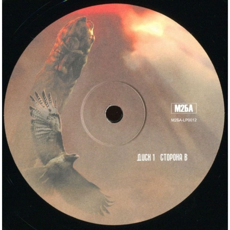 Ария - Крещение Огнем. Перезагрузка (2Lp) (4680068801991) виниловая пластинка - фото 11