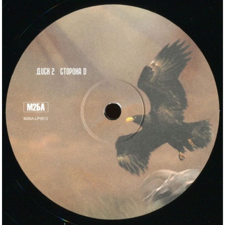 Ария - Крещение Огнем. Перезагрузка (2Lp) (4680068801991) виниловая пластинка - фото 13