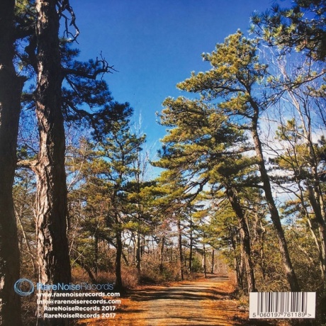 Bill Brovold &amp; Jamie Saft - Serenity Knolls (5060197761189) виниловая пластинка - фото 2