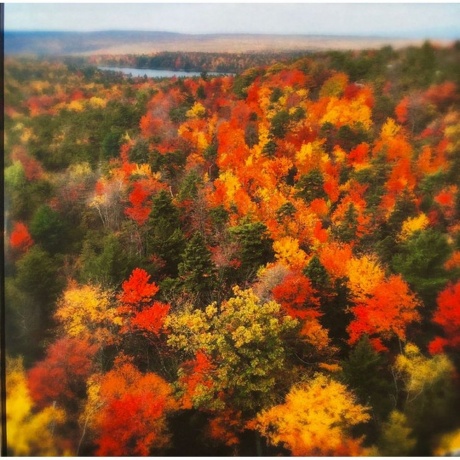 Bill Brovold &amp; Jamie Saft - Serenity Knolls (5060197761189) виниловая пластинка - фото 4