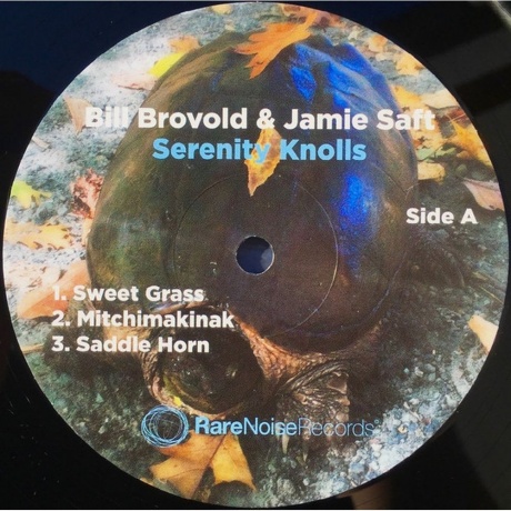 Bill Brovold &amp; Jamie Saft - Serenity Knolls (5060197761189) виниловая пластинка - фото 5