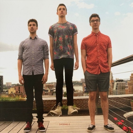 AJR - Living Room (coloured) (4099964172232) виниловая пластинка - фото 3