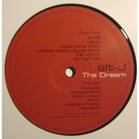 Alt-J - The Dream (4050538707205) виниловая пластинка - фото 4