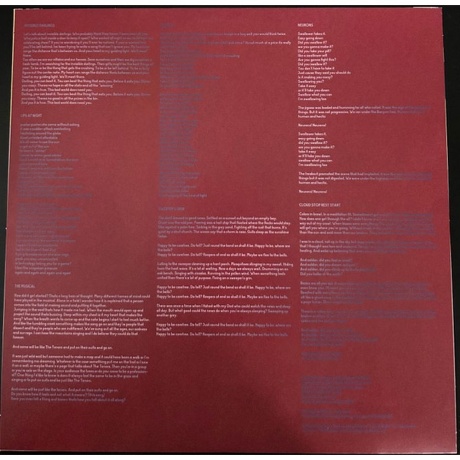 Avey Tare - 7s (coloured) (0887828051830) виниловая пластинка - фото 5