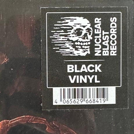 Dismember - Like An Ever Flowing Stream (4065629668419) виниловая пластинка - фото 8