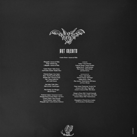 Florence And The Machine - Everybody Scream (0602478840203) виниловая пластинка - фото 14