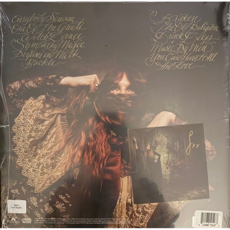 Florence And The Machine - Everybody Scream (0602478840203) виниловая пластинка - фото 19