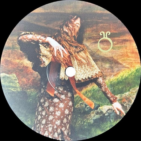 Florence And The Machine - Everybody Scream (0602478840203) виниловая пластинка - фото 6