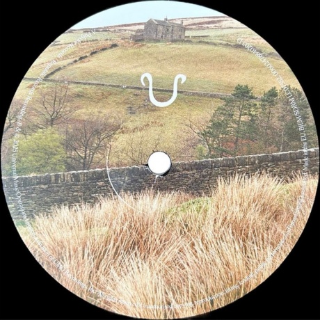 Florence And The Machine - Everybody Scream (0602478840203) виниловая пластинка - фото 7