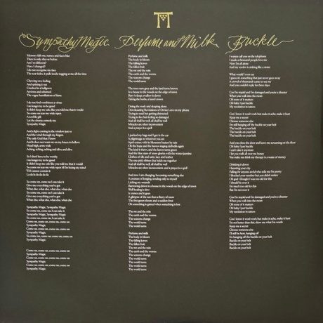 Florence And The Machine - Everybody Scream (0602478840203) виниловая пластинка - фото 9