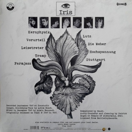 Iris - Iris (0194111023659) виниловая пластинка - фото 2