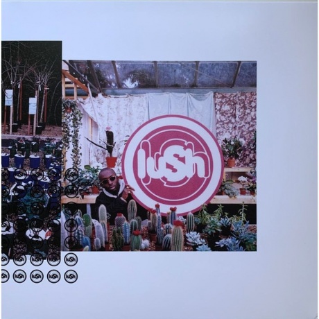Lush - Lovelife (coloured) (0191400045309) виниловая пластинка