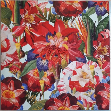 Maribou State - Kingdoms In Colour (5054429134179) виниловая пластинка - фото 3