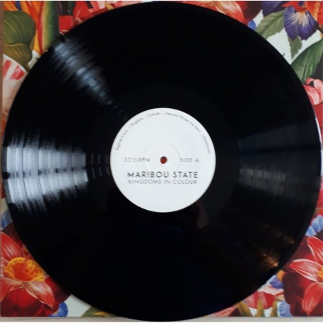 Maribou State - Kingdoms In Colour (5054429134179) виниловая пластинка - фото 4
