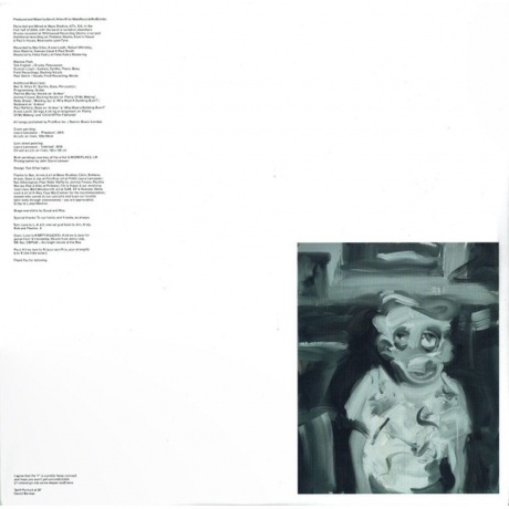 Maximo Park - Nature Always Wins (coloured) (5400863040741) виниловая пластинка - фото 4