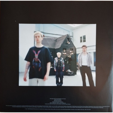 NewDad - Altar (5021732774163) виниловая пластинка - фото 3