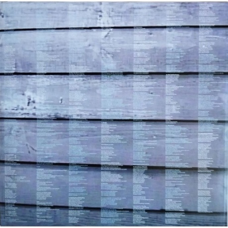 NewDad - Altar (5021732774163) виниловая пластинка - фото 4