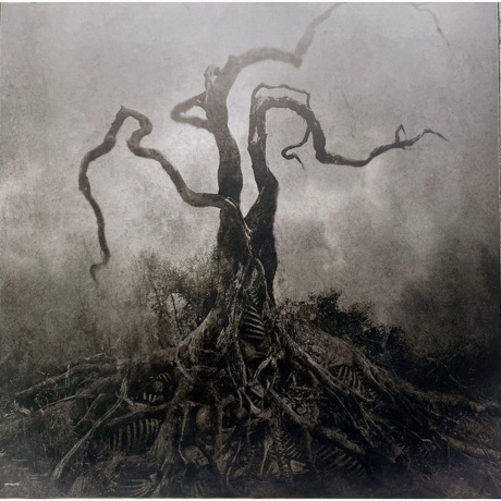 Opeth - Blackwater Park (0198029470512) виниловая пластинка - фото 6