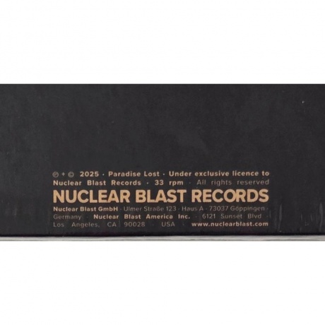 Paradise Lost - Ascension (coloured) (4065629687977) виниловая пластинка - фото 14
