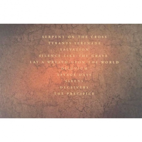 Paradise Lost - Ascension (coloured) (4065629687977) виниловая пластинка - фото 17