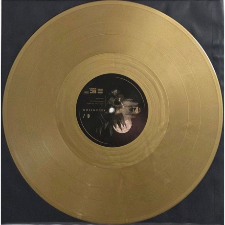 Paradise Lost - Ascension (coloured) (4065629687977) виниловая пластинка - фото 4