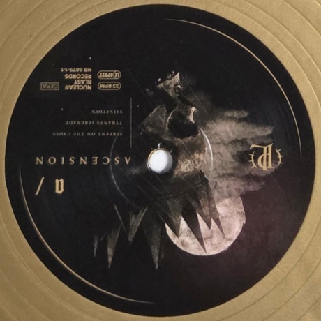 Paradise Lost - Ascension (coloured) (4065629687977) виниловая пластинка - фото 5