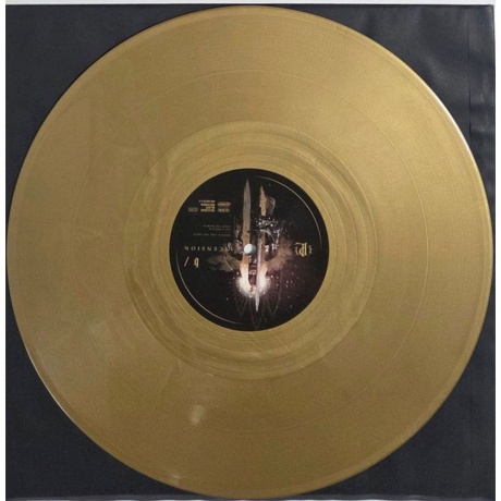 Paradise Lost - Ascension (coloured) (4065629687977) виниловая пластинка - фото 6