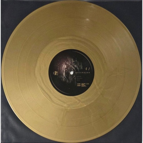 Paradise Lost - Ascension (coloured) (4065629687977) виниловая пластинка - фото 8