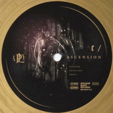 Paradise Lost - Ascension (coloured) (4065629687977) виниловая пластинка - фото 9