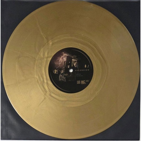 Paradise Lost - Ascension (coloured) (4065629687977) виниловая пластинка - фото 10