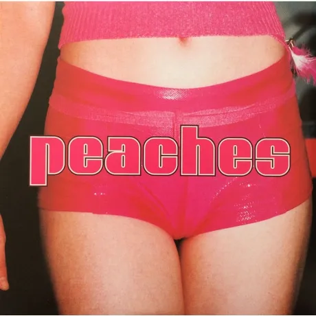 Peaches - Teaches Of Peaches (0634904016319) виниловая пластинка