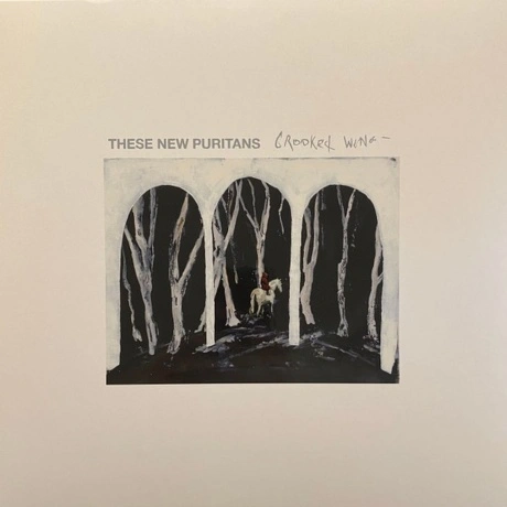 These New Puritans - Crooked Wing (0887828055319) виниловая плас...