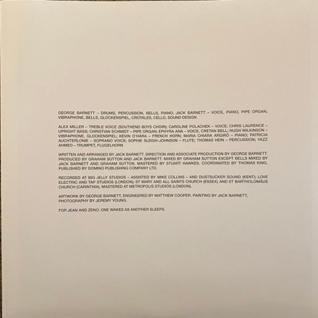 These New Puritans - Crooked Wing (0887828055319) виниловая пластинка - фото 4