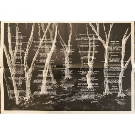 These New Puritans - Crooked Wing (0887828055319) виниловая пластинка - фото 5