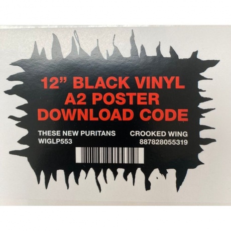 These New Puritans - Crooked Wing (0887828055319) виниловая пластинка - фото 6