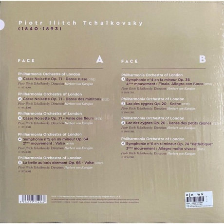 Various Artists - Tschaikowsky Masterpieces (3596973754066) виниловая пластинка - фото 2