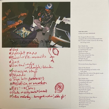 Black Country, New Road - Forever Howlong (5054429199758) - фото 12