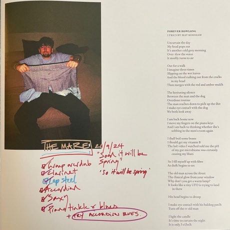 Black Country, New Road - Forever Howlong (5054429199758) - фото 20