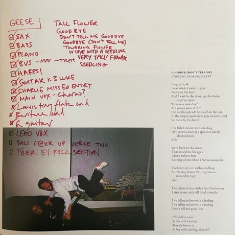 Black Country, New Road - Forever Howlong (5054429199758) - фото 22