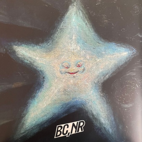 Black Country, New Road - Forever Howlong (5054429199758) - фото 27