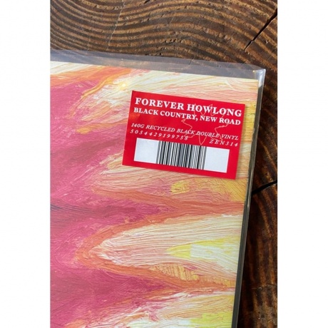 Black Country, New Road - Forever Howlong (5054429199758) - фото 28