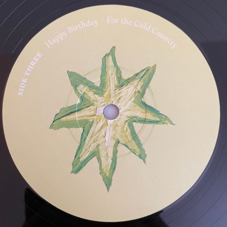 Black Country, New Road - Forever Howlong (5054429199758) - фото 6