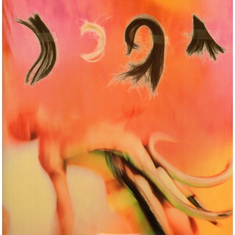 The Breeders - Pod (0652637000603) виниловая пластинка - фото 4