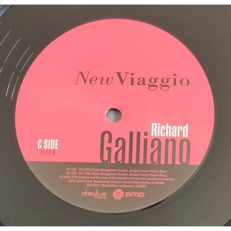 Richard Galliano - New Viaggio (4099964129007) виниловая пластинка - фото 5