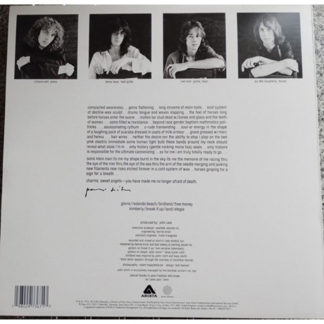 Patti Smith - Horses (coloured) (0198029736717) виниловая пластинка - фото 2