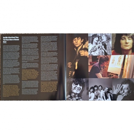Ronnie Wood - Fearless: Anthology 1965-2025 (4099964064407) виниловая пластинка - фото 3