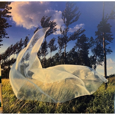 Pink Floyd - Wish You Were Here (50th Anniversary) (0198028767118) - фото 11