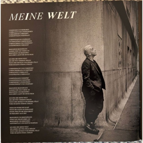 Till Lindemann - Zunge 2025 (4260639464529) виниловая пластинка - фото 18