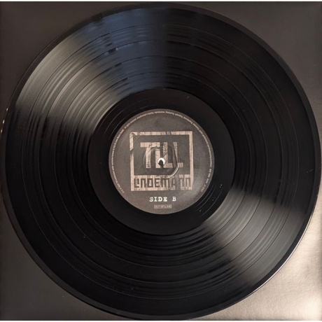 Till Lindemann - Zunge 2025 (4260639464529) виниловая пластинка - фото 22