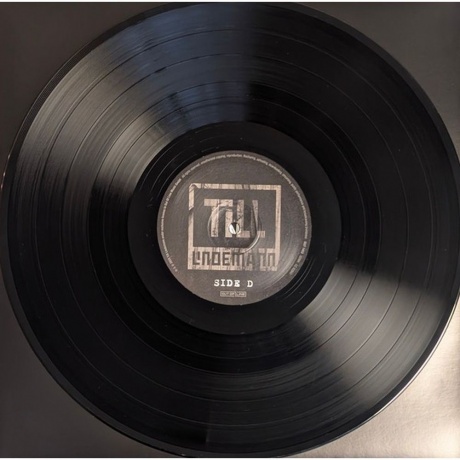 Till Lindemann - Zunge 2025 (4260639464529) виниловая пластинка - фото 24